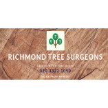 Richmond Tree Surgeon