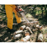 Wisconsin Rapids Tree Service Pros