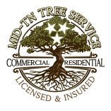 Mid-TN Tree Service