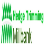 Hedge Trimming Millbank