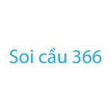 soicau366