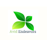 Avid Endeavors