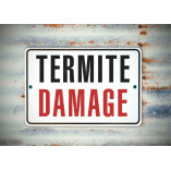 Festival City Termite Removal Experts