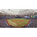 Tropicana Field