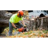 Surf City Tree Service