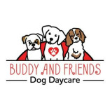 Buddy and Friends Dog Daycare