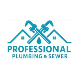Professional Plumbing & Sewer