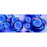 Renovo Health and Beauty