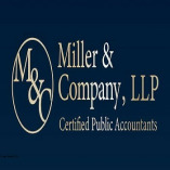 IRS Tax Audit Accountant Long Island