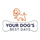 Your Dog's Best Days