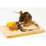 Home Rodent Control Perth