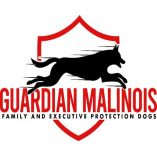 Guardian Malinois