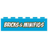 Bricks & Minifigs Shakopee