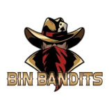 Bin Bandits Pressure Washing