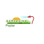 Gardening Poplar