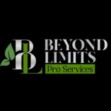 Beyond Limits Pro Services