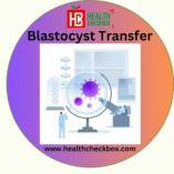 Blastocyst Transfer  treamment in india : Process and Cost