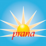 Prana GmbH logo