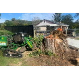 stump grinding