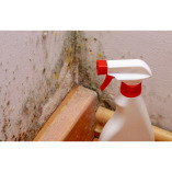 Mold Inspectors of Butterfly Capital