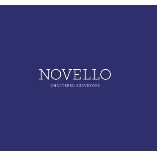 Novello Chartered Surveyors - Streatham