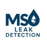MS Leak Detection Tampa