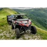 BuggyCrete