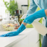 Tropical Cleaning Services