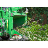 Whiskey Town Tree Service