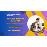 CCNA 200-301 Exam Dumps PDF