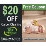 Carpet Cleaning Mesquite TX