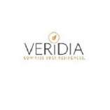 Veridia Wave City Ghaziabad