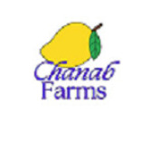 Buy Export Quality Chaunsa Mango