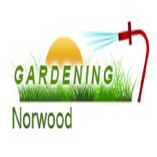 Gardening Norwood