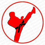 Kampfsportschule RED DRAGON logo