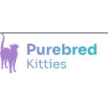 Purebred Kitties