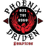Phoenix Driven Services