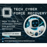 HIRE TECH CYBER FORCE RECOVERY TO RETRIEVE YOUR USDT\BTC