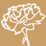 Blomberg Marketing e.V. logo