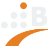 BM Computersysteme logo