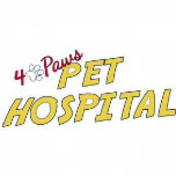 4 paws pet hospital full 1564978480