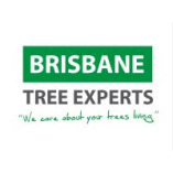 Brisbane Tree Experts