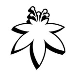 The Flowery Clearwater