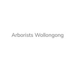 ArboristWollongong.com.au