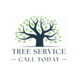 Tree Service League City TX