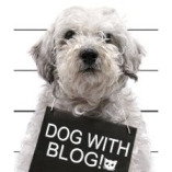 Dog with Blog