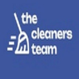 THE CLEANERS TEAM LLC