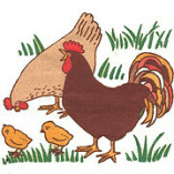 Geflügelhof und Eierfärberei Zembrot logo