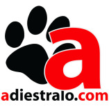 Adiestralo.com | Escuela canina de adiestramiento y formación