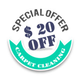 The Allen TX Carpet Cleaning